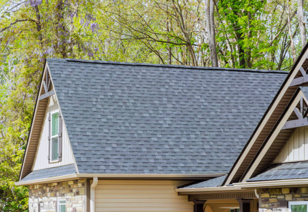 Best Roof Inspection  in Savanna, IL