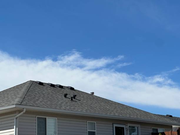 Waterproofing in Savanna, IL